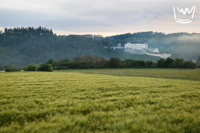Stavební pozemek, 2748 m2, Český Šternberk