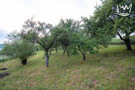 Stavební pozemek, 2748 m2, Český Šternberk