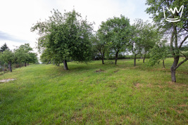 Stavební pozemek, 2748 m2, Český Šternberk