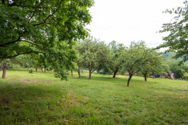 Stavební pozemek, 2748 m2, Český Šternberk